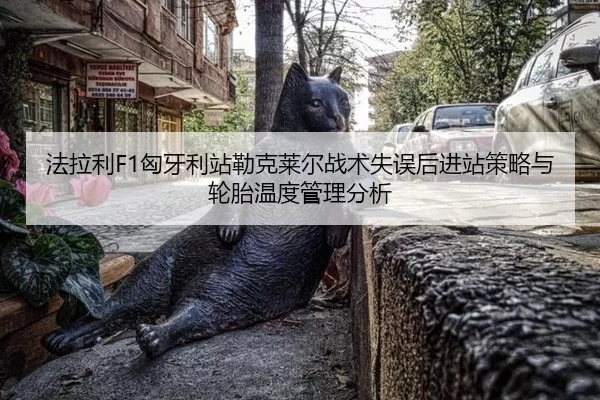 fa-la-li-xiong-ya-li-zhan-lei-ke-lai-er-zhan-shu-shi-wu-hou-jin-zhan-ce-lve-yu-lun-tai-wen-du-guan-li-fen-xi-2-366.jpg