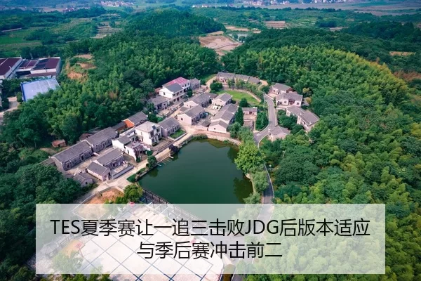 TES夏季赛让一追三击败JDG后版本适应与季后赛冲击前二